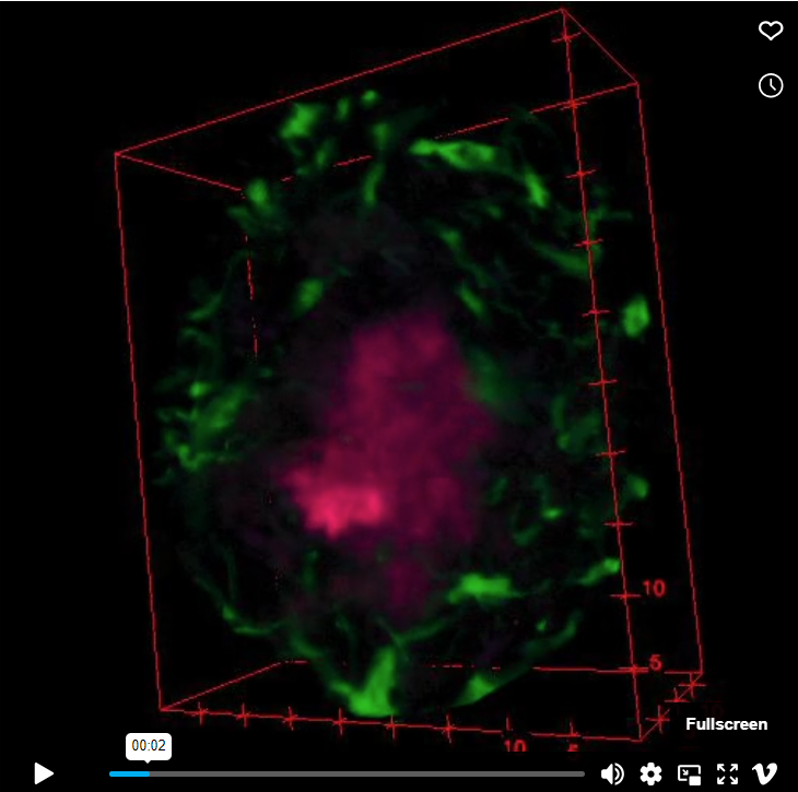 video image1