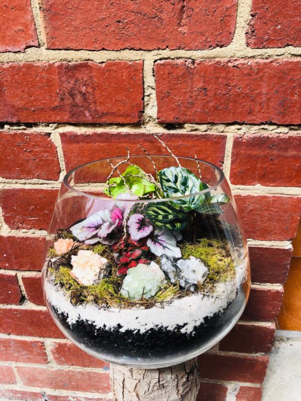 Terrariums