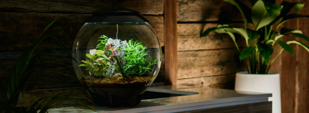 terrarium-banner